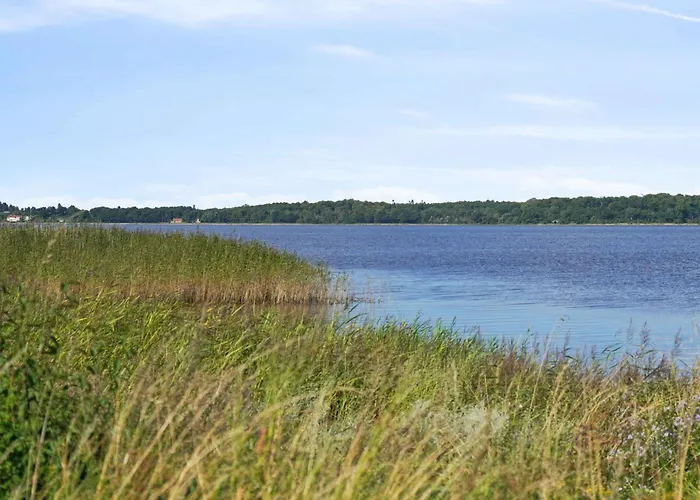 Bright Cozy Summer House Directly By The Fjord Jaegerspris